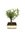 Zanthoxylum bonsai P15, keraaminen ruukku